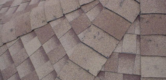hail damage roof shingles