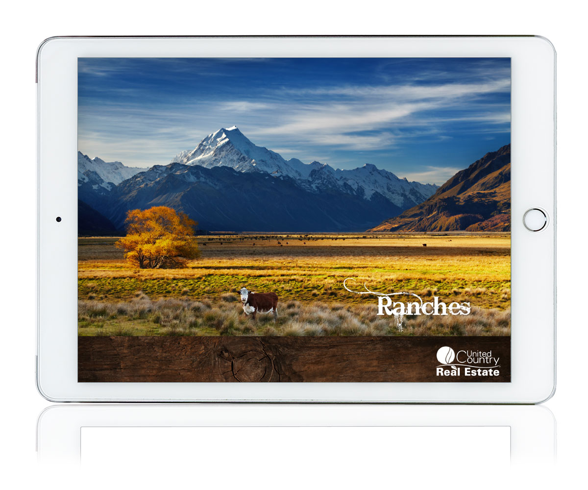 ipad_3 ipad_3